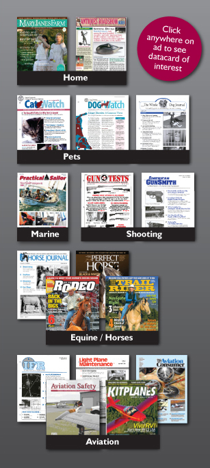 Belvoir Media Group